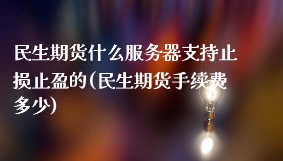 民生期货什么服务器支持止损止盈的(民生期货手续费多少)_https://gjqh.wpmee.com_期货平台_第1张