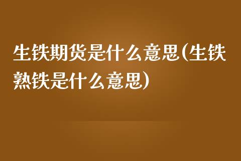 生铁期货是什么意思(生铁熟铁是什么意思)_https://gjqh.wpmee.com_期货开户_第1张