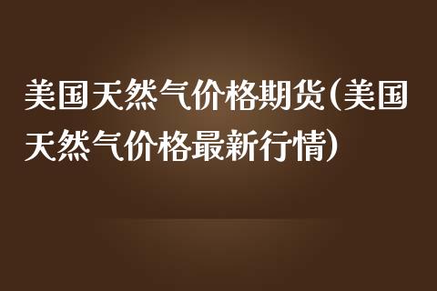 美国天然气价格期货(美国天然气价格最新行情)_https://gjqh.wpmee.com_期货平台_第1张