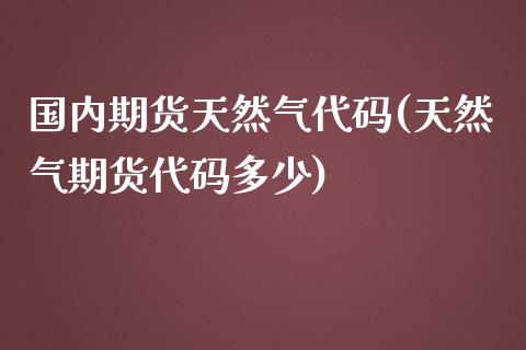 国内期货天然气代码(天然气期货代码多少)_https://gjqh.wpmee.com_期货百科_第1张