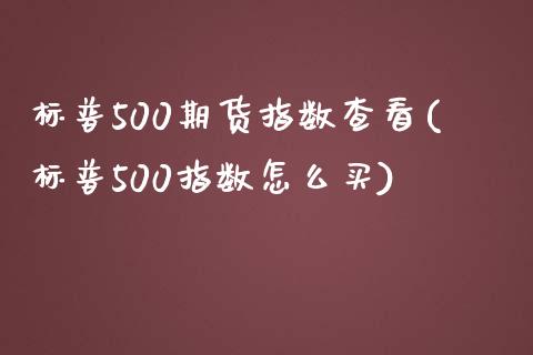 标普500期货指数查看(标普500指数怎么买)_https://gjqh.wpmee.com_期货开户_第1张