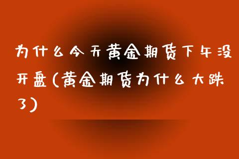 为什么今天黄金期货下午没开盘(黄金期货为什么大跌了)_https://gjqh.wpmee.com_期货开户_第1张