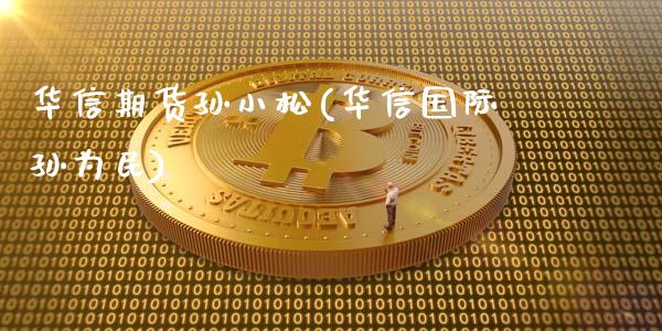 华信期货孙小松(华信国际孙为民)_https://gjqh.wpmee.com_国际期货_第1张