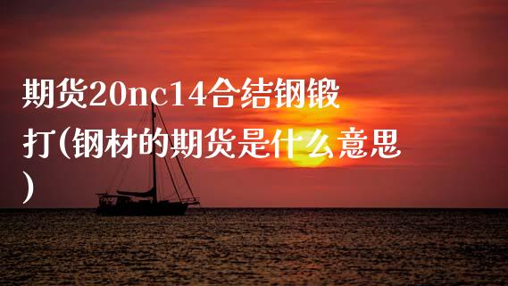 期货20nc14合结钢锻打(钢材的期货是什么意思)_https://gjqh.wpmee.com_国际期货_第1张