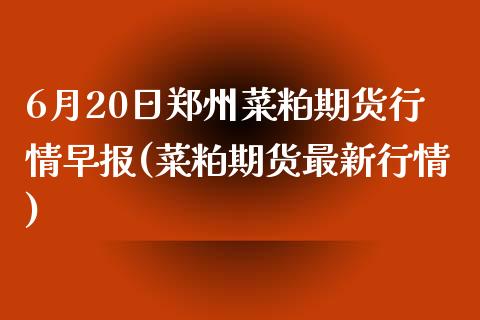 6月20日郑州菜粕期货行情早报(菜粕期货最新行情)_https://gjqh.wpmee.com_期货百科_第1张