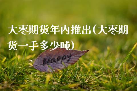 大枣期货年内推出(大枣期货一手多少吨)_https://gjqh.wpmee.com_期货新闻_第1张