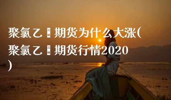 聚氯乙烯期货为什么大涨(聚氯乙烯期货行情2020)_https://gjqh.wpmee.com_期货平台_第1张