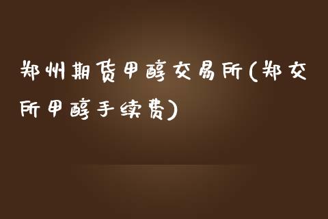 郑州期货甲醇交易所(郑交所甲醇手续费)_https://gjqh.wpmee.com_期货百科_第1张