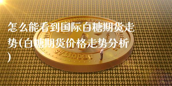 怎么能看到国际白糖期货走势(白糖期货价格走势分析)_https://gjqh.wpmee.com_期货百科_第1张