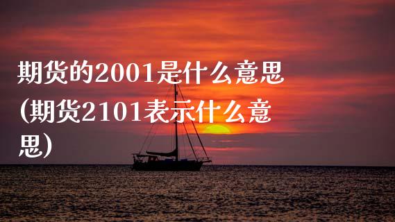 期货的2001是什么意思(期货2101表示什么意思)_https://gjqh.wpmee.com_期货新闻_第1张