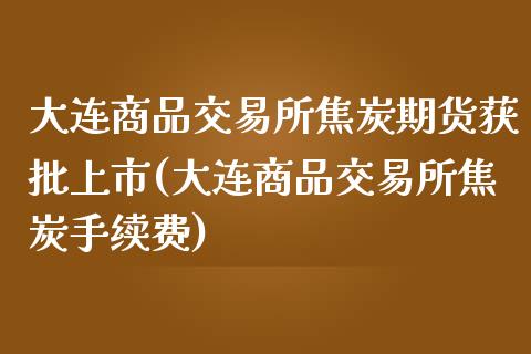 大连商品交易所焦炭期货获批上市(大连商品交易所焦炭手续费)_https://gjqh.wpmee.com_期货新闻_第1张