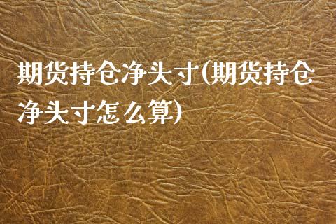 期货持仓净头寸(期货持仓净头寸怎么算)_https://gjqh.wpmee.com_期货新闻_第1张