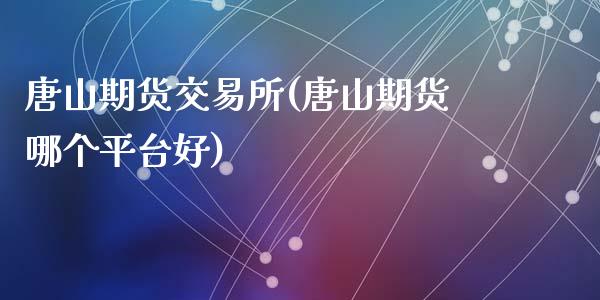 唐山期货交易所(唐山期货哪个平台好)_https://gjqh.wpmee.com_期货新闻_第1张