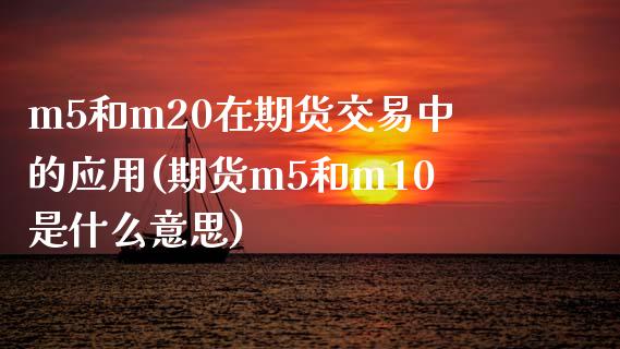 m5和m20在期货交易中的应用(期货m5和m10是什么意思)_https://gjqh.wpmee.com_期货百科_第1张