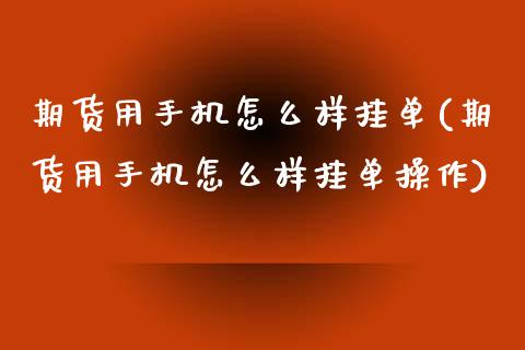 期货用手机怎么样挂单(期货用手机怎么样挂单操作)_https://gjqh.wpmee.com_国际期货_第1张