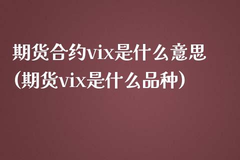 期货合约vix是什么意思(期货vix是什么品种)_https://gjqh.wpmee.com_期货百科_第1张