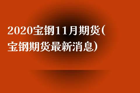 2020宝钢11月期货(宝钢期货最新消息)_https://gjqh.wpmee.com_期货平台_第1张