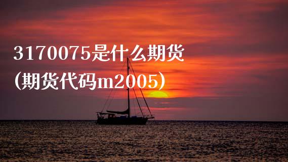 3170075是什么期货(期货代码m2005)_https://gjqh.wpmee.com_期货开户_第1张