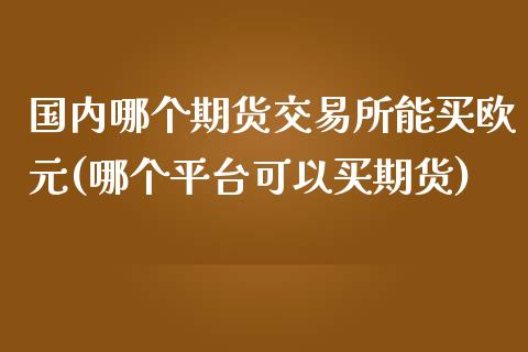 国内哪个期货交易所能买欧元(哪个平台可以买期货)_https://gjqh.wpmee.com_国际期货_第1张