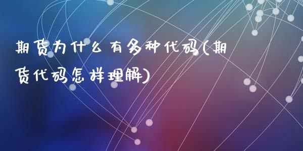 期货为什么有多种代码(期货代码怎样理解)_https://gjqh.wpmee.com_期货平台_第1张