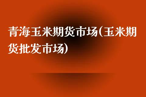 青海玉米期货市场(玉米期货批发市场)_https://gjqh.wpmee.com_期货新闻_第1张