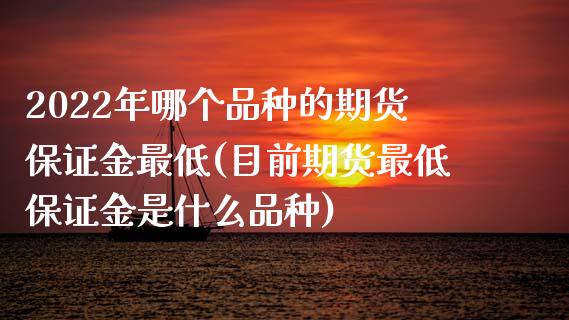 2022年哪个品种的期货保证金最低(目前期货最低保证金是什么品种)_https://gjqh.wpmee.com_期货百科_第1张