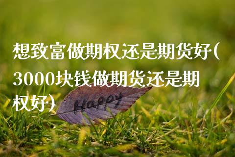 想致富做期权还是期货好(3000块钱做期货还是期权好)_https://gjqh.wpmee.com_期货开户_第1张