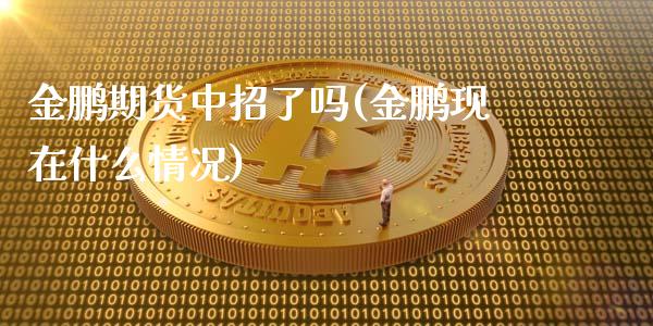 金鹏期货中招了吗(金鹏现在什么情况)_https://gjqh.wpmee.com_期货平台_第1张