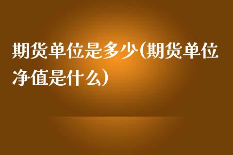 期货单位是多少(期货单位净值是什么)_https://gjqh.wpmee.com_期货平台_第1张