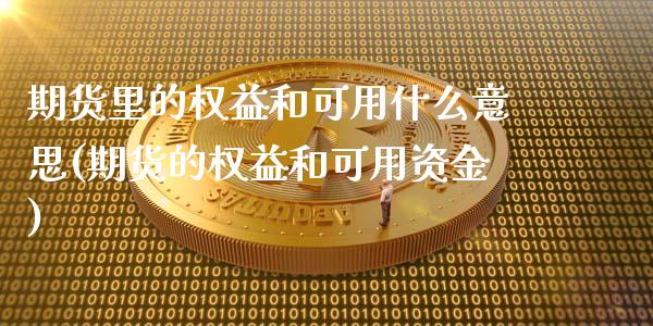 期货里的权益和可用什么意思(期货的权益和可用资金)_https://gjqh.wpmee.com_国际期货_第1张