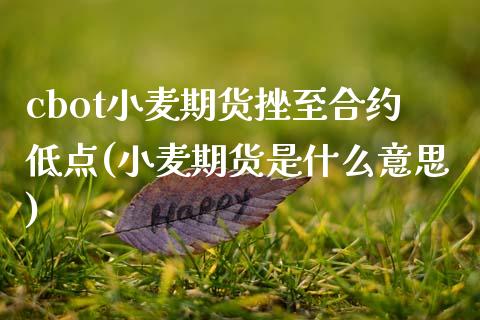 cbot小麦期货挫至合约低点(小麦期货是什么意思)_https://gjqh.wpmee.com_期货平台_第1张