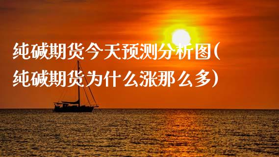 纯碱期货今天预测分析图(纯碱期货为什么涨那么多)_https://gjqh.wpmee.com_期货新闻_第1张