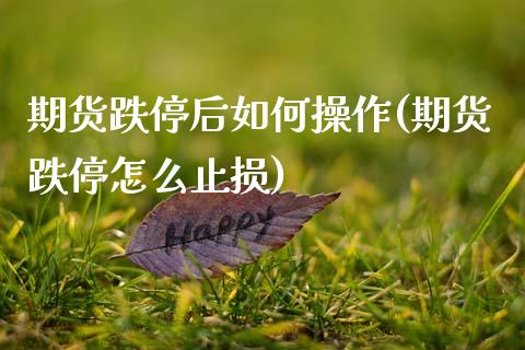 期货跌停后如何操作(期货跌停怎么止损)_https://gjqh.wpmee.com_期货平台_第1张