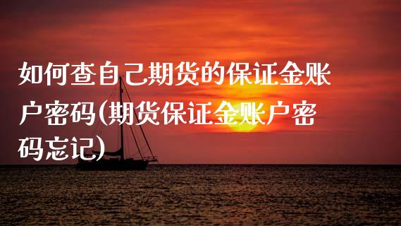 如何查自己期货的保证金账户密码(期货保证金账户密码忘记)_https://gjqh.wpmee.com_期货百科_第1张