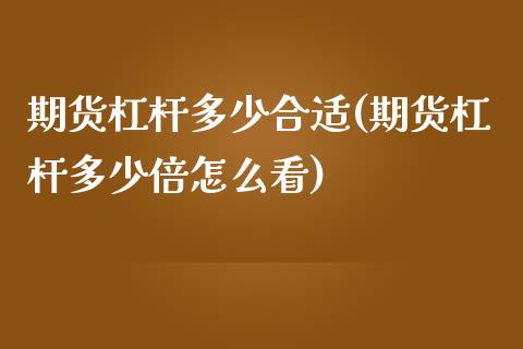 期货杠杆多少合适(期货杠杆多少倍怎么看)_https://gjqh.wpmee.com_期货百科_第1张