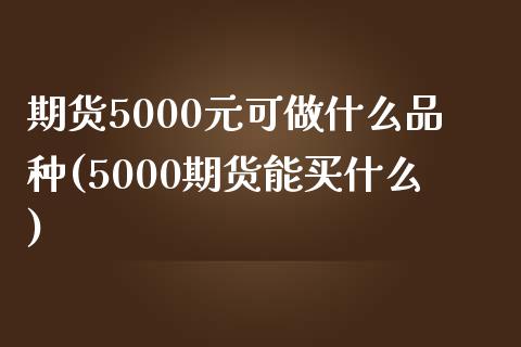 期货5000元可做什么品种(5000期货能买什么)_https://gjqh.wpmee.com_国际期货_第1张