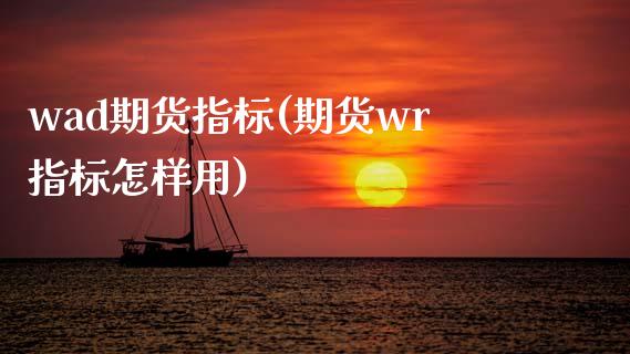 wad期货指标(期货wr指标怎样用)_https://gjqh.wpmee.com_国际期货_第1张