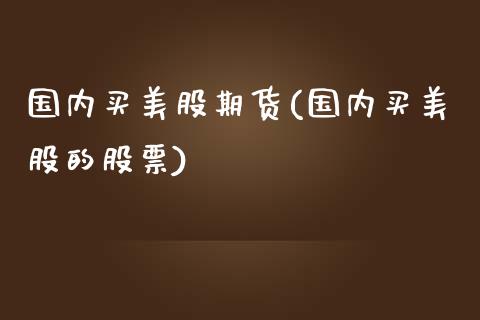 国内买美股期货(国内买美股的股票)_https://gjqh.wpmee.com_期货新闻_第1张