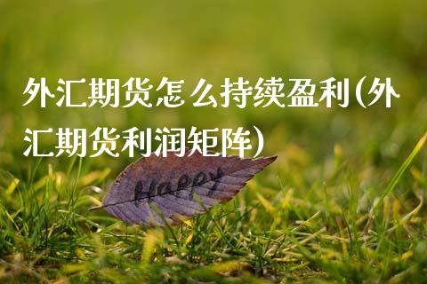 外汇期货怎么持续盈利(外汇期货利润矩阵)_https://gjqh.wpmee.com_国际期货_第1张