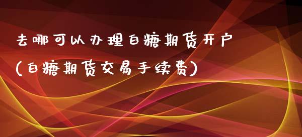 去哪可以办理白糖期货开户(白糖期货交易手续费)_https://gjqh.wpmee.com_期货开户_第1张