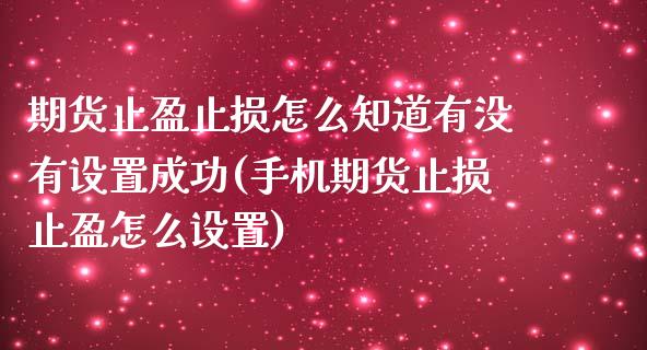 期货止盈止损怎么知道有没有设置成功(手机期货止损止盈怎么设置)_https://gjqh.wpmee.com_期货平台_第1张