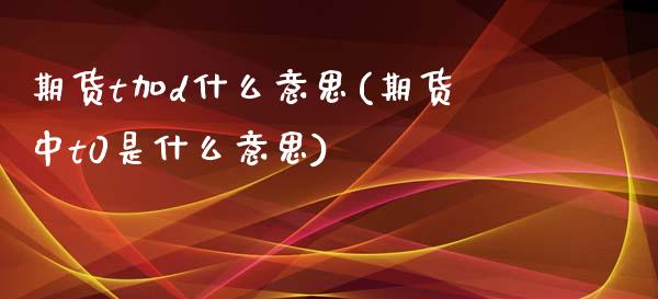 期货t加d什么意思(期货中t0是什么意思)_https://gjqh.wpmee.com_期货新闻_第1张