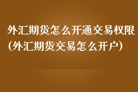 外汇期货怎么开通交易权限(外汇期货交易怎么开户)_https://gjqh.wpmee.com_期货平台_第1张