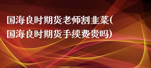 国海良时期货老师割韭菜(国海良时期货手续费贵吗)_https://gjqh.wpmee.com_期货开户_第1张