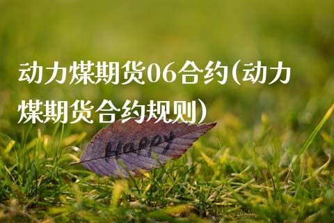 动力煤期货06合约(动力煤期货合约规则)_https://gjqh.wpmee.com_期货百科_第1张