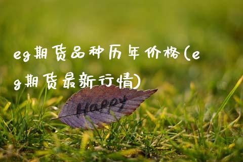 eg期货品种历年价格(eg期货最新行情)_https://gjqh.wpmee.com_期货开户_第1张