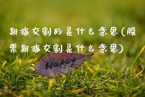 期指交割的是什么意思(股票期指交割是什么意思)_https://gjqh.wpmee.com_期货平台_第1张