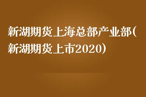 新湖期货上海总部产业部(新湖期货上市2020)_https://gjqh.wpmee.com_期货百科_第1张