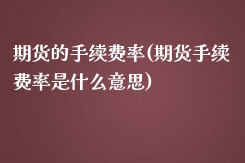 期货的手续费率(期货手续费率是什么意思)_https://gjqh.wpmee.com_期货百科_第1张