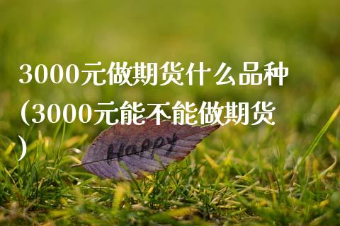 3000元做期货什么品种(3000元能不能做期货)_https://gjqh.wpmee.com_期货平台_第1张